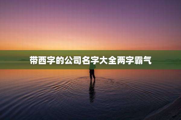 带西字的公司名字大全两字霸气