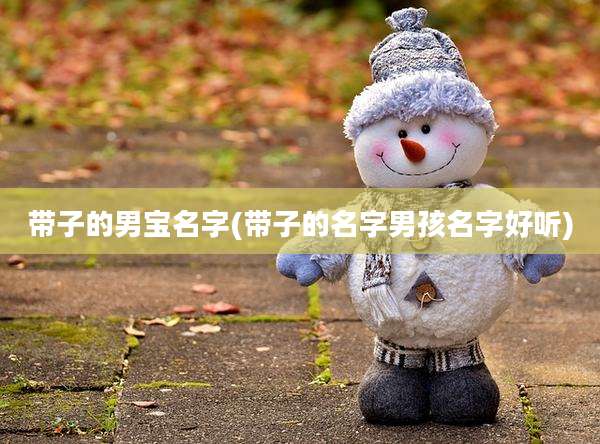 带子的男宝名字(带子的名字男孩名字好听)