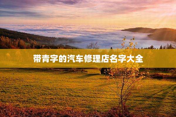带青字的汽车修理店名字大全