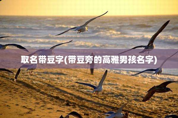 取名带豆字(带豆旁的高雅男孩名字)