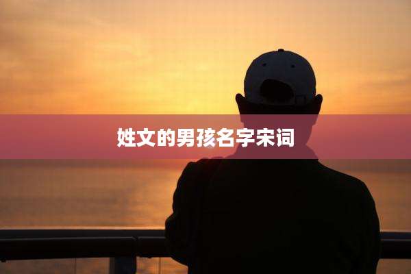 姓文的男孩名字宋词