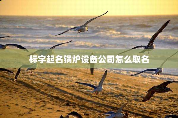 标字起名锅炉设备公司怎么取名