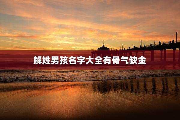 解姓男孩名字大全有骨气缺金