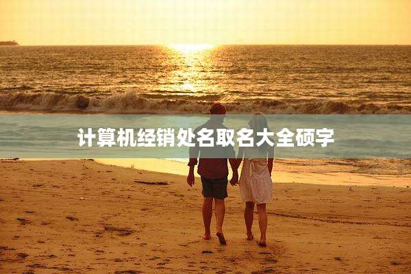 计算机经销处名取名大全硕字