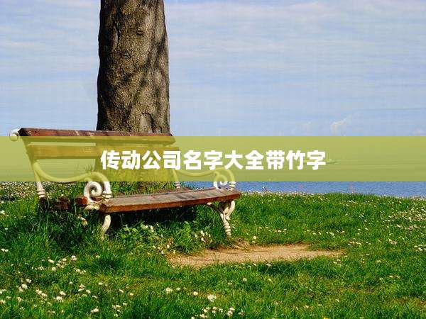 传动公司名字大全带竹字