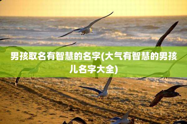 男孩取名有智慧的名字(大气有智慧的男孩儿名字大全)