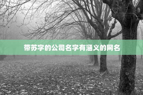 带苏字的公司名字有涵义的网名