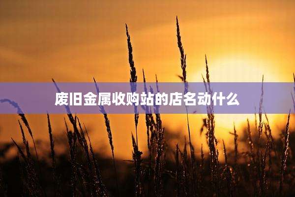 废旧金属收购站的店名动什么
