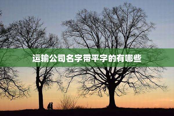 运输公司名字带平字的有哪些