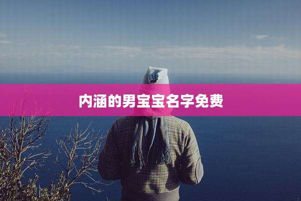内涵的男宝宝名字免费