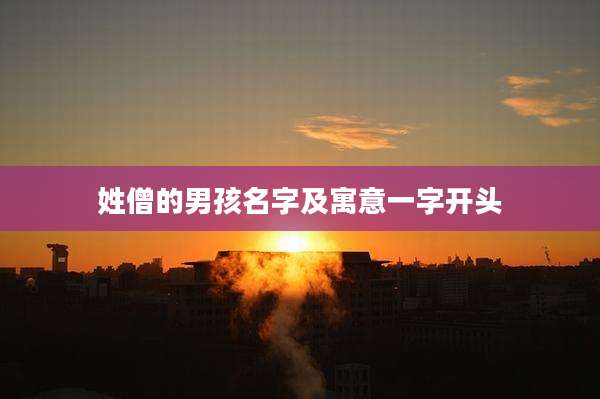 姓僧的男孩名字及寓意一字开头