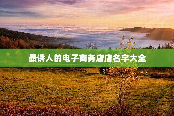 最诱人的电子商务店店名字大全