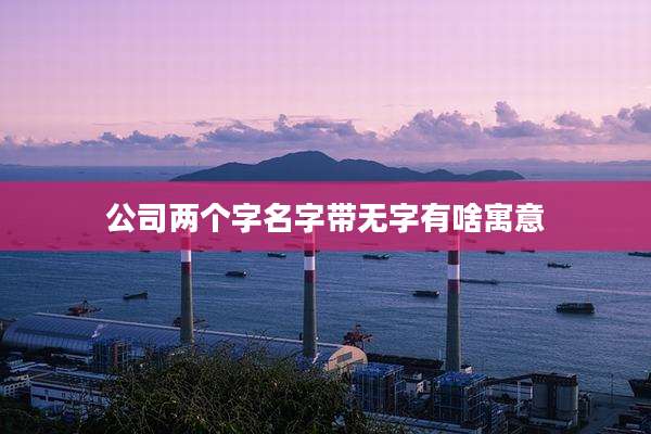 公司两个字名字带无字有啥寓意