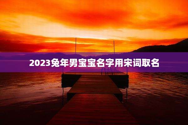 2023兔年男宝宝名字用宋词取名