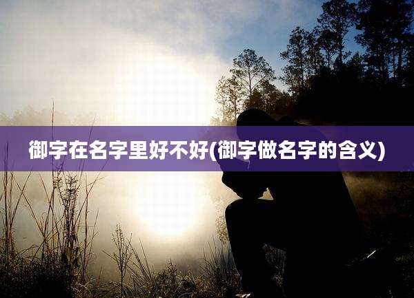 御字在名字里好不好(御字做名字的含义)