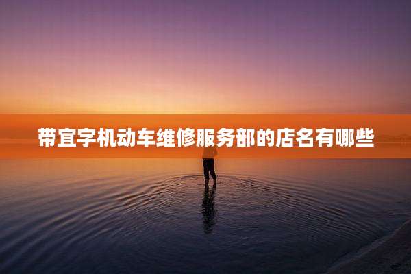 带宜字机动车维修服务部的店名有哪些