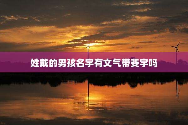 姓戴的男孩名字有文气带斐字吗