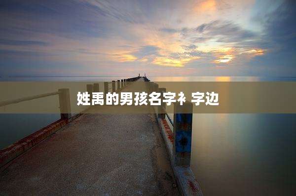 姓禹的男孩名字衤字边