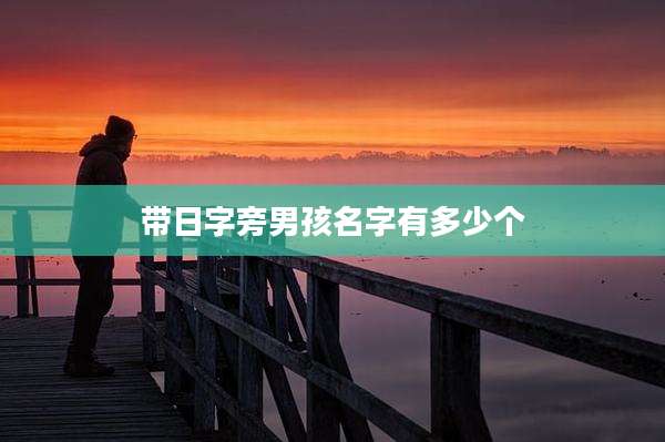 带日字旁男孩名字有多少个