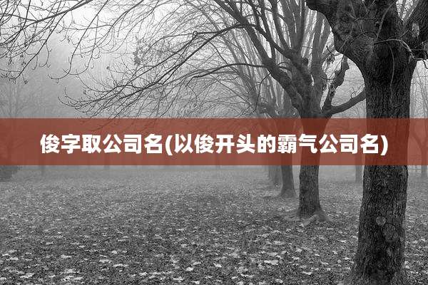 俊字取公司名(以俊开头的霸气公司名)