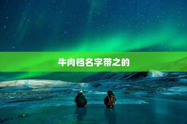 牛肉档名字带之的
