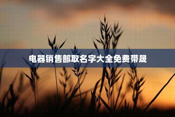 电器销售部取名字大全免费带晟
