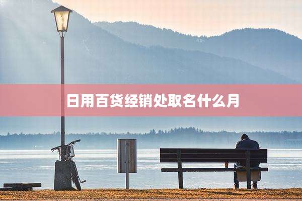 日用百货经销处取名什么月