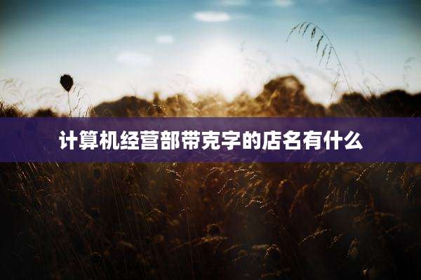计算机经营部带克字的店名有什么