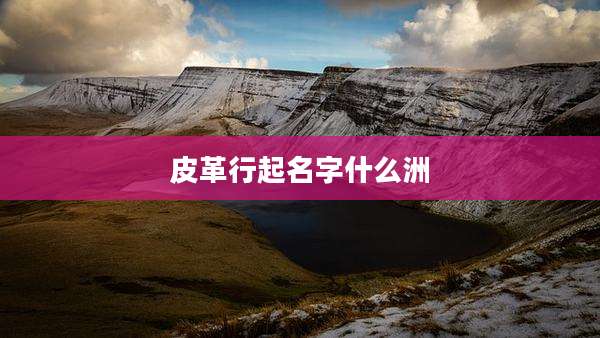 皮革行起名字什么洲