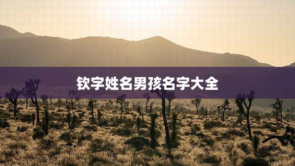 钦字姓名男孩名字大全