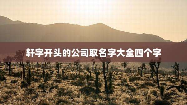 轩字开头的公司取名字大全四个字