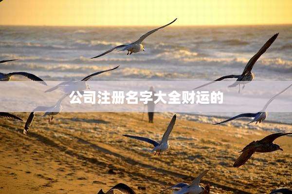 公司注册名字大全财运的