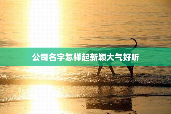 公司名字怎样起新颖大气好听