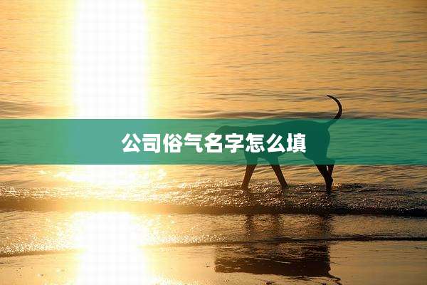 公司俗气名字怎么填