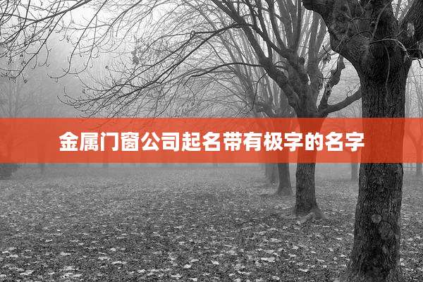 金属门窗公司起名带有极字的名字