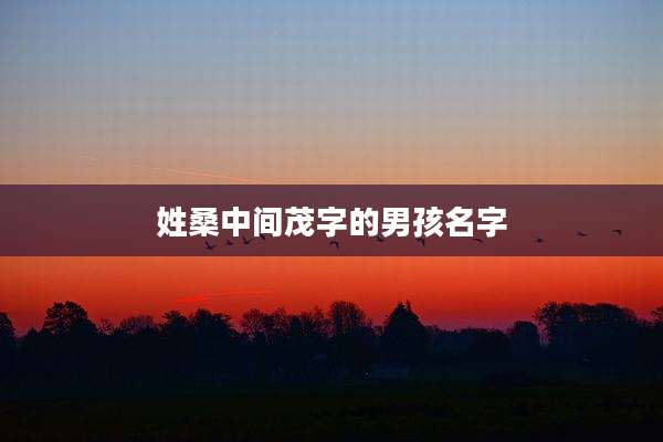 姓桑中间茂字的男孩名字