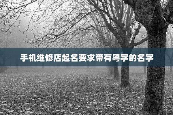 手机维修店起名要求带有粤字的名字