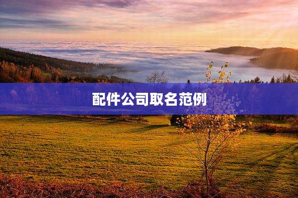 配件公司取名范例