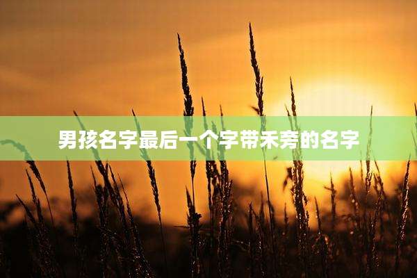 男孩名字最后一个字带禾旁的名字