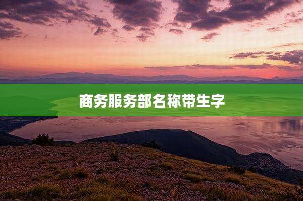 商务服务部名称带生字