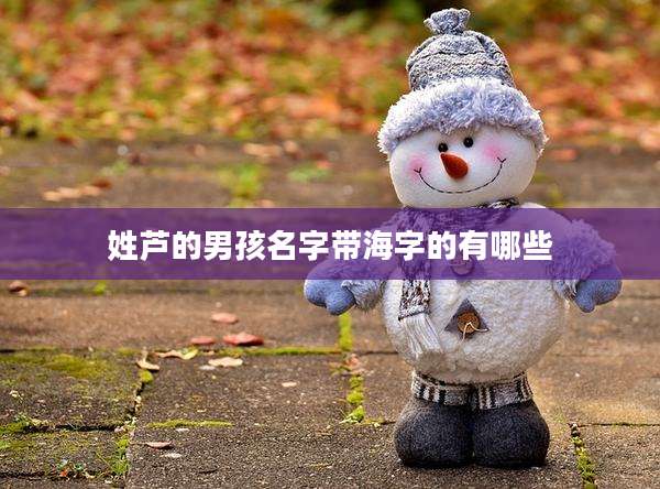 姓芦的男孩名字带海字的有哪些