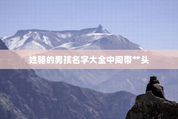 姓骆的男孩名字大全中间带艹头