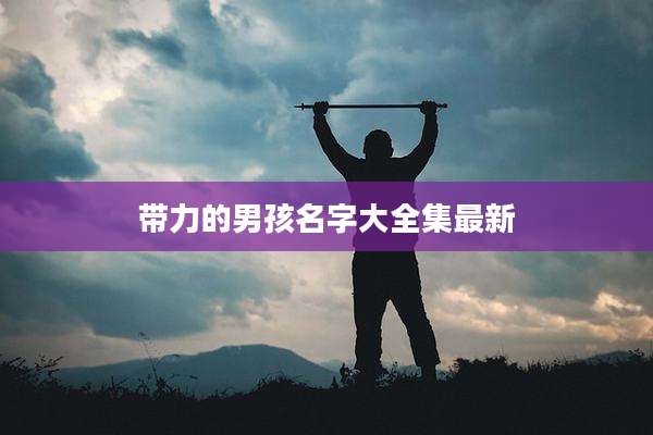 带力的男孩名字大全集最新