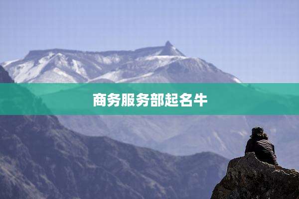 商务服务部起名牛