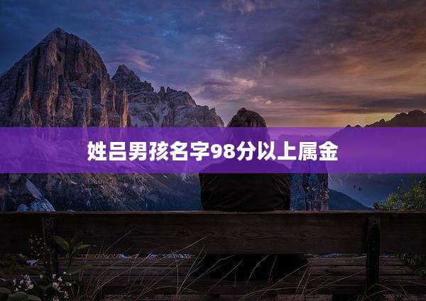 姓吕男孩名字98分以上属金