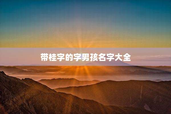 带桂字的字男孩名字大全