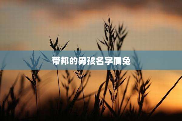 带邦的男孩名字属兔