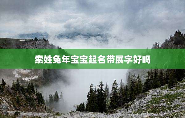 索姓兔年宝宝起名带展字好吗