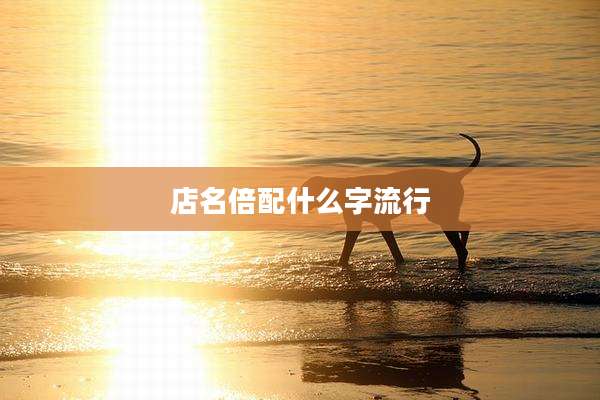 店名倍配什么字流行
