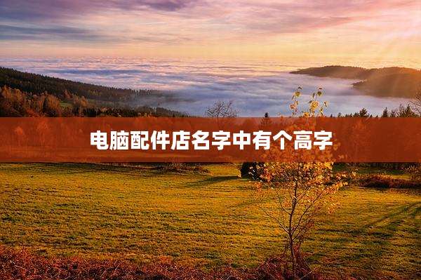 电脑配件店名字中有个高字